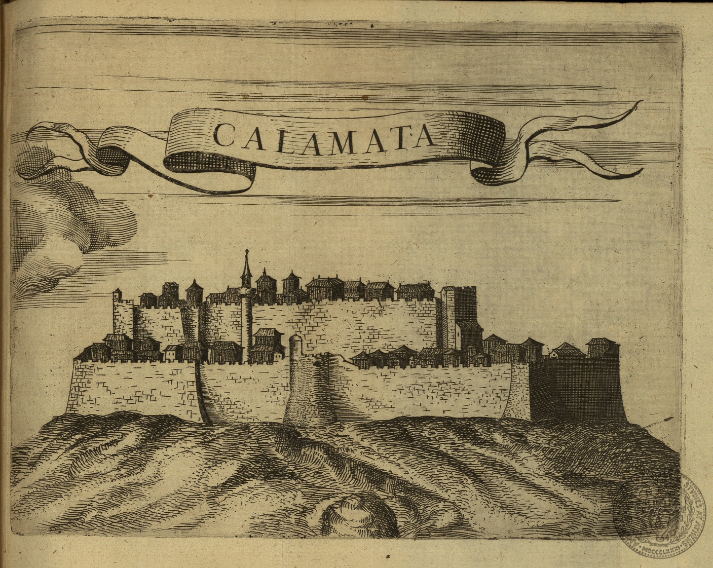 Calamata